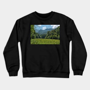 Deciduous forest in the summer Crewneck Sweatshirt